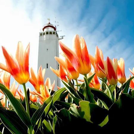 호텔 Two Brothers 노르트베이크