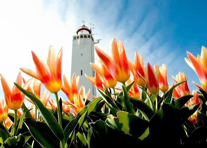 Ξενοδοχείο Two Brothers Noordwijk